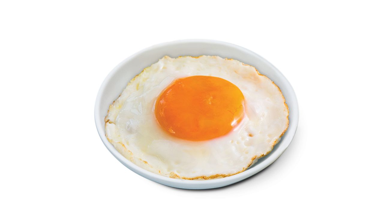 E11 Fried Egg