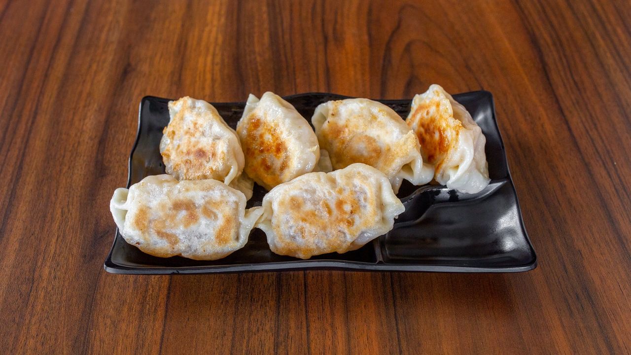Pork and Cabbage Pan Fried Dumplings