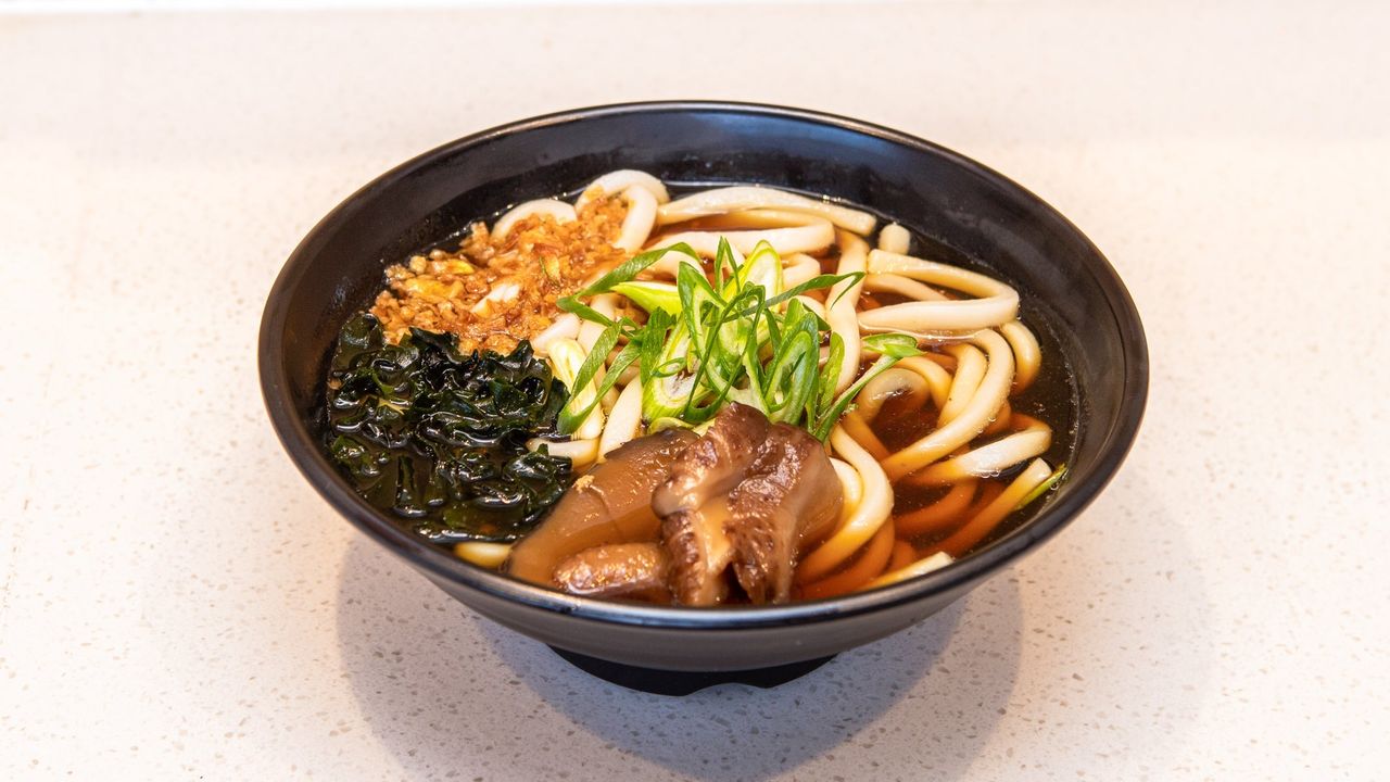 Plain Udon