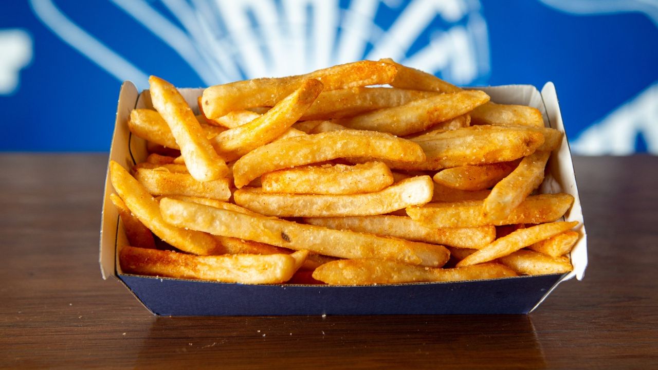 X-Large Fries