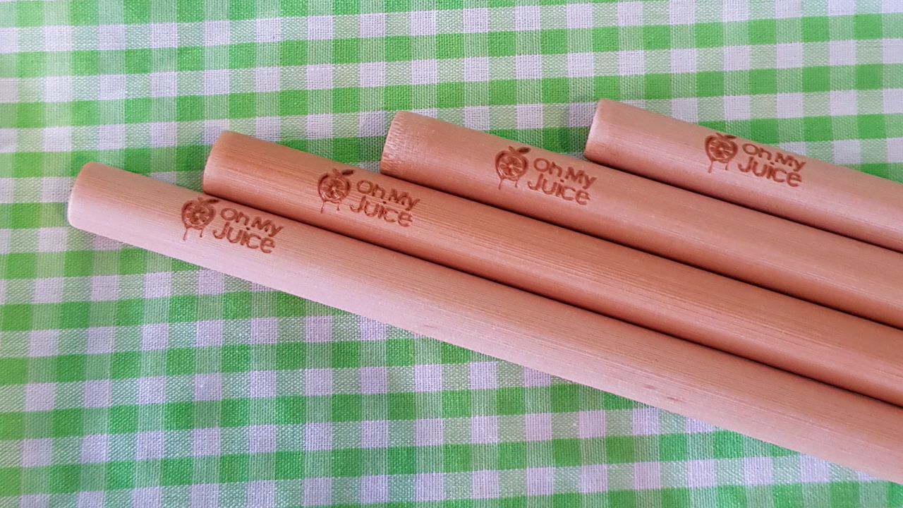 Bamboo Straws (4)