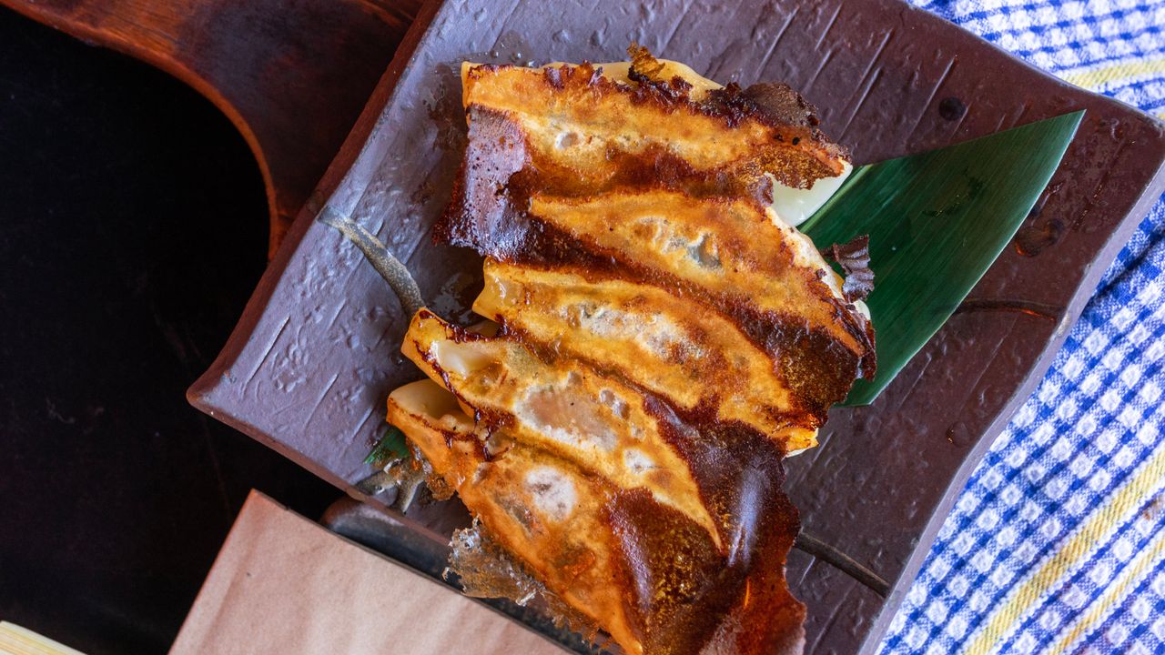 Pan Fried Red Gyoza (5)