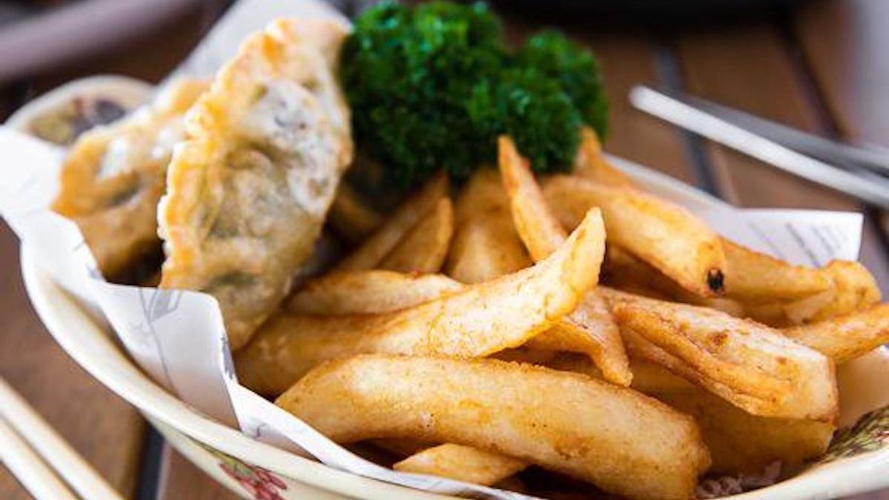 Fried Pork Dumplings