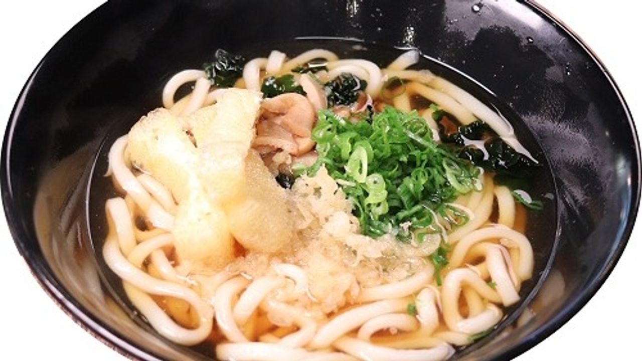 Plain Udon