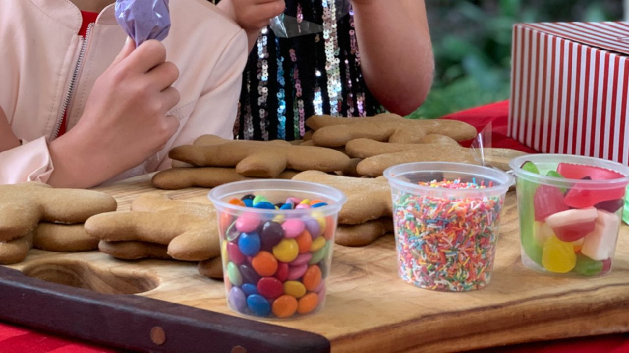 Gingerbread Decorating Kits