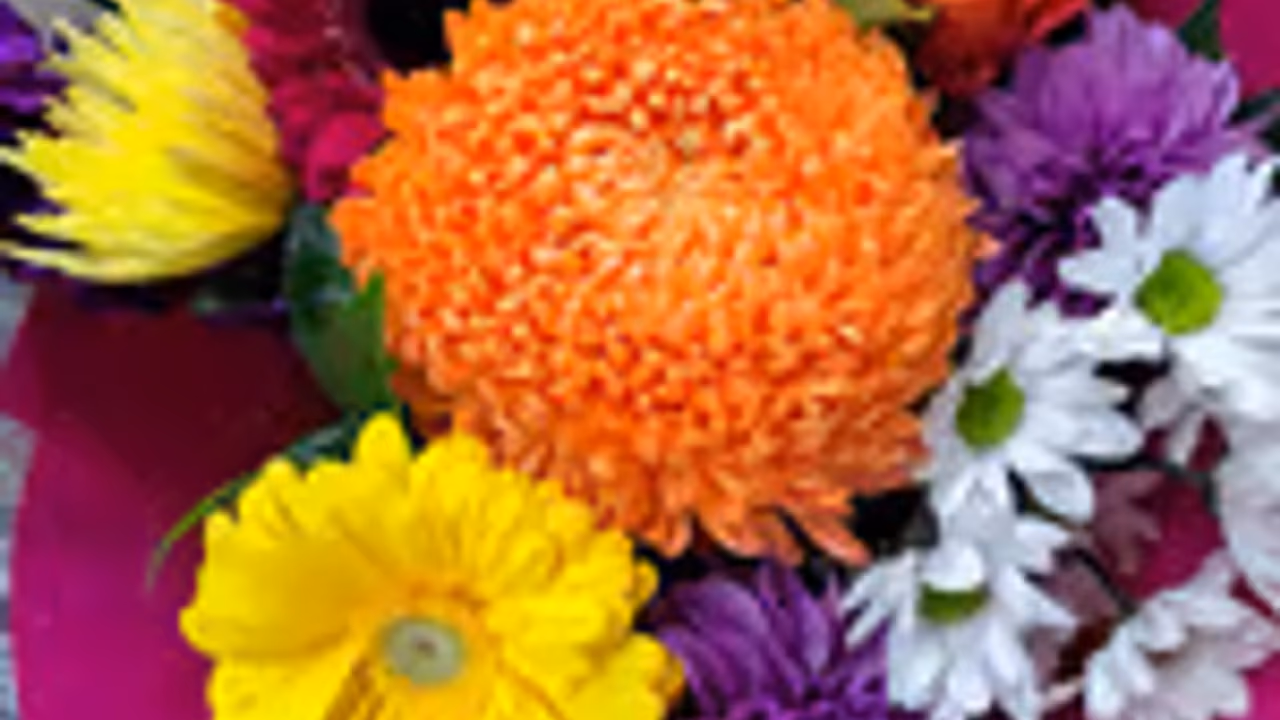 Bright Arrangement (classic)