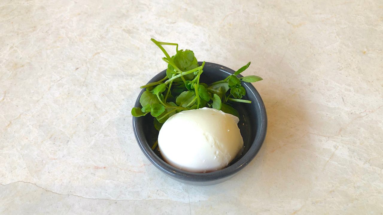 Poached Egg