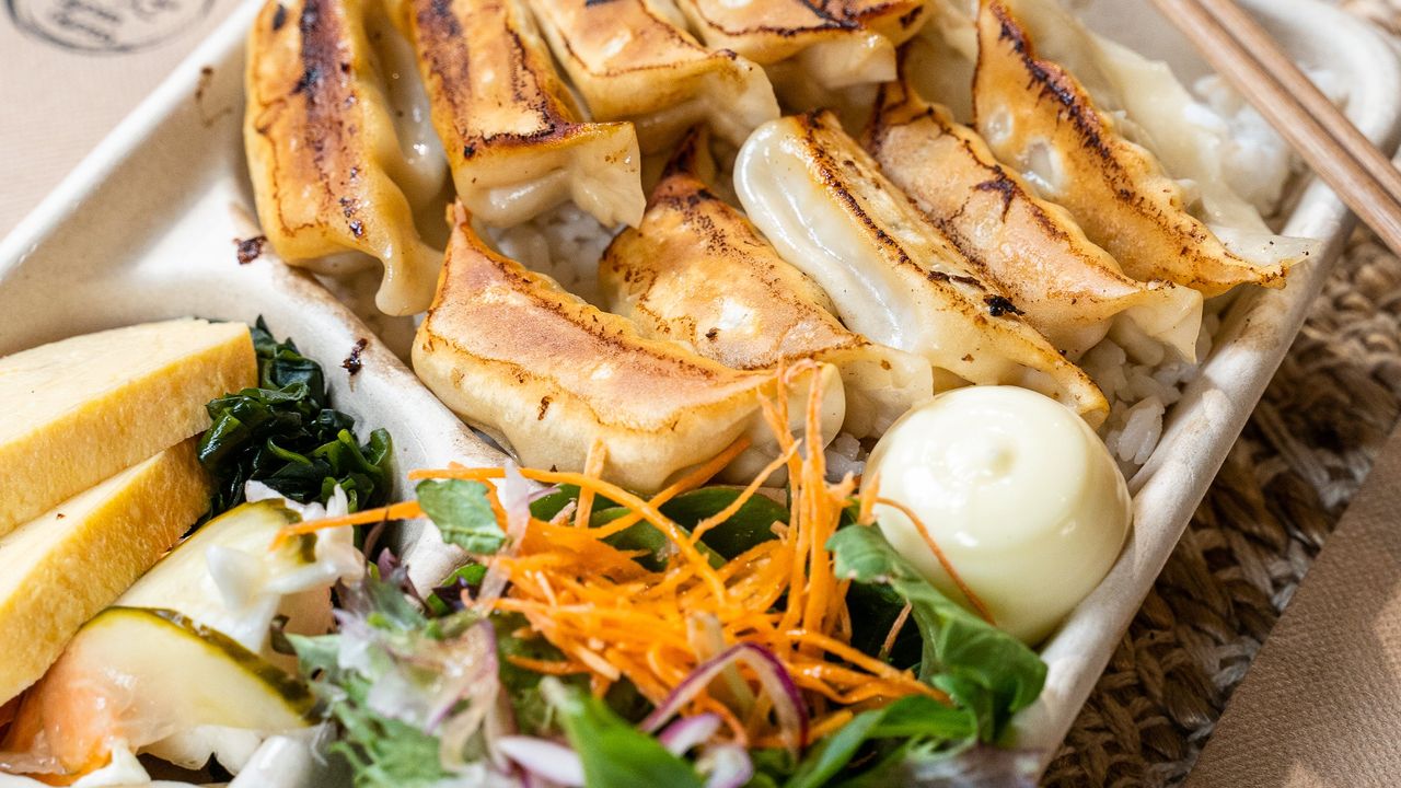 Gyoza Bento