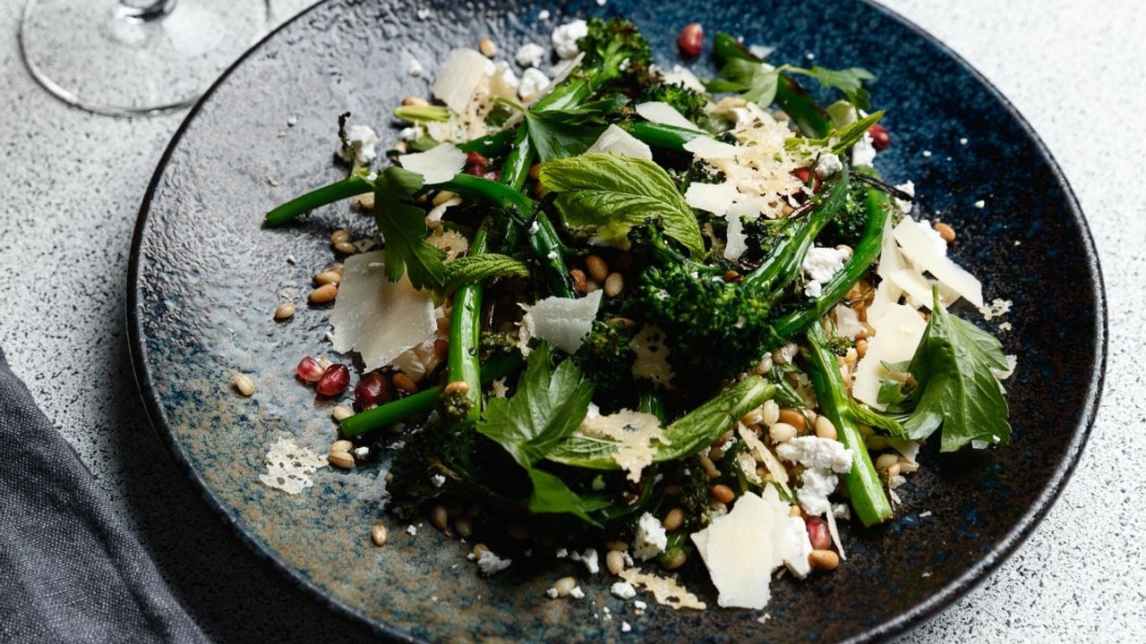 Charred Broccolini Salad (V)