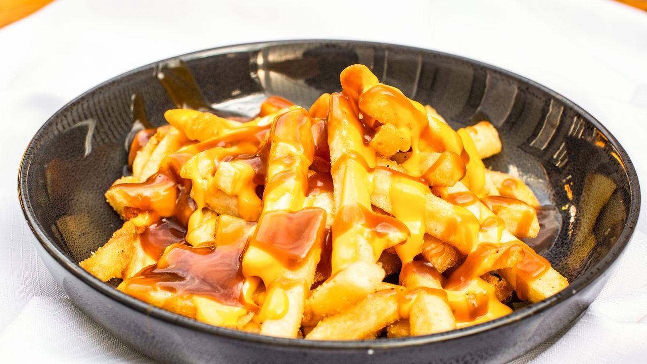 Cheesy Gravy Fries