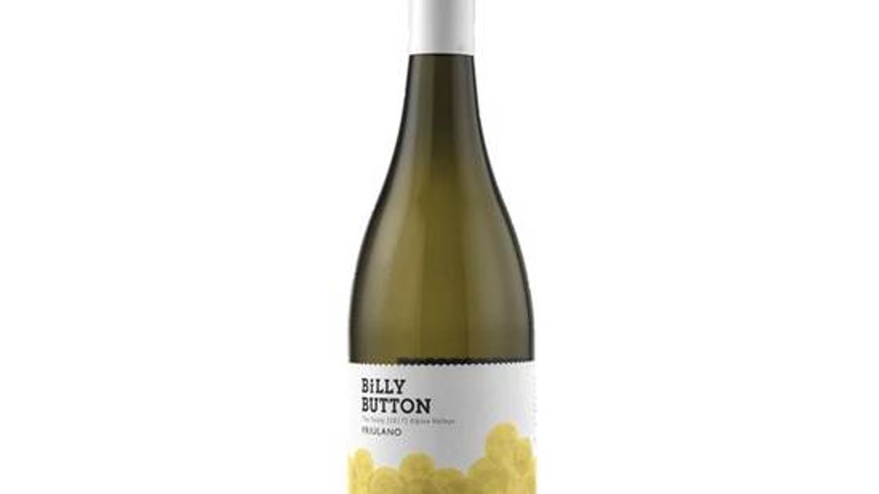 Billy Button Friulano 2017