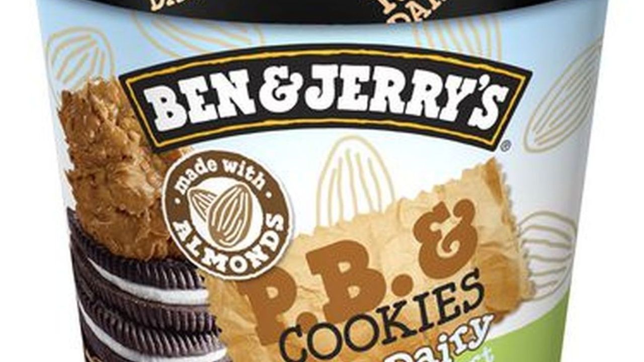 Ben and Jerry Non-Dairy Peanut Butter (458ml Tub)