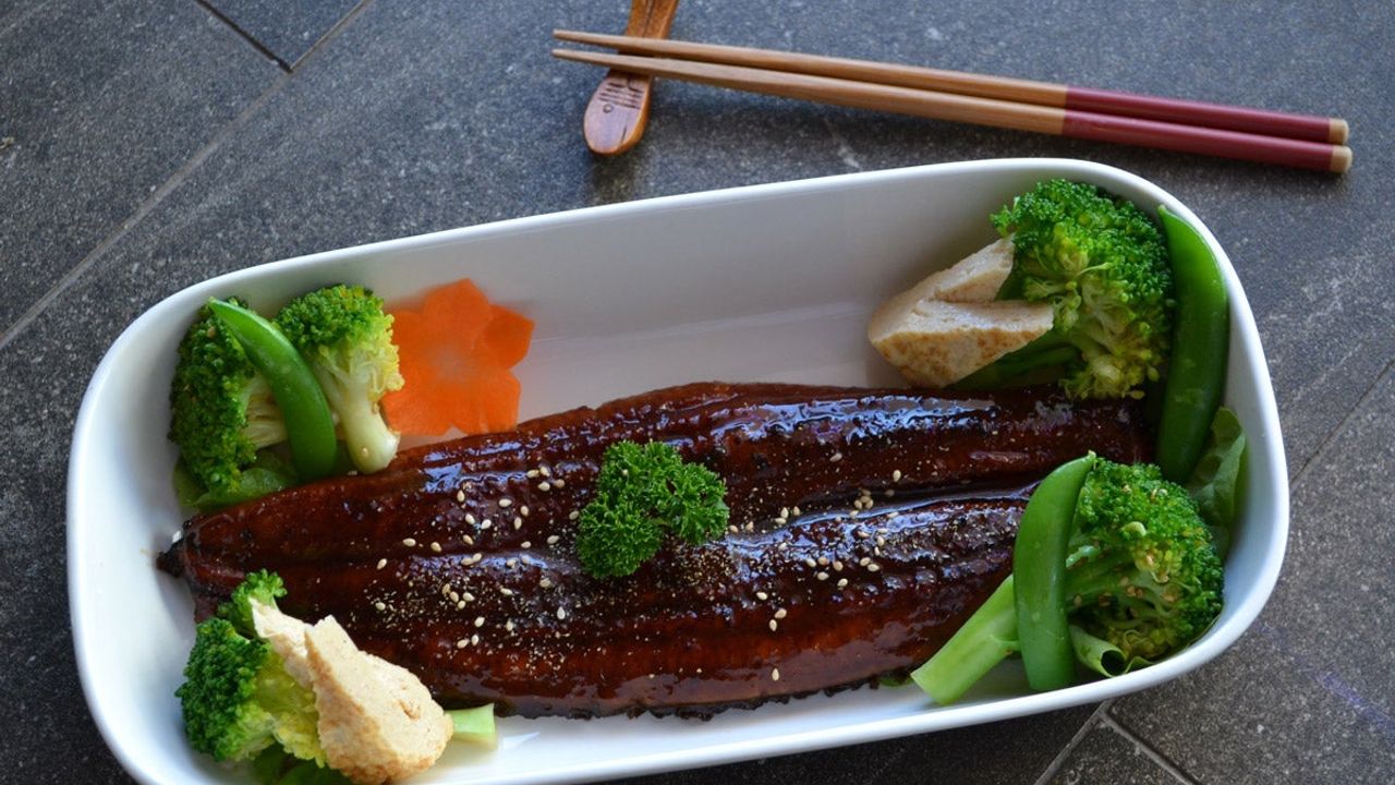 Unagi Kabayaki