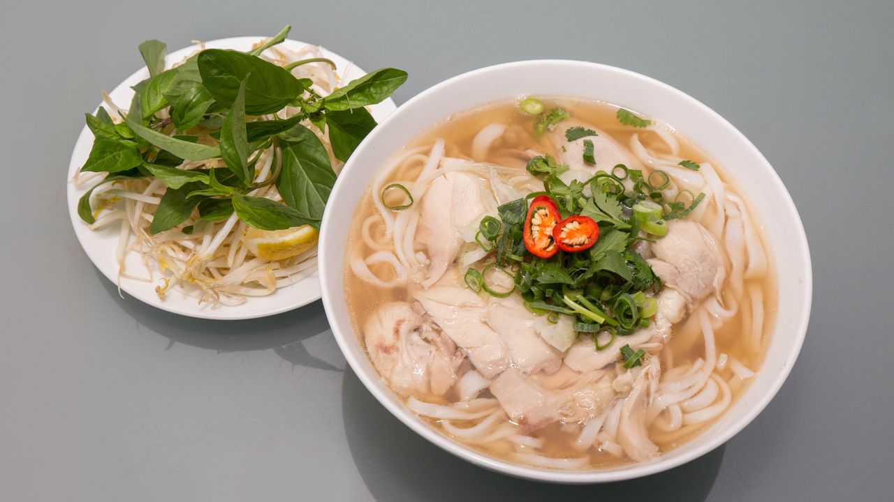 Chicken Noodle Soup