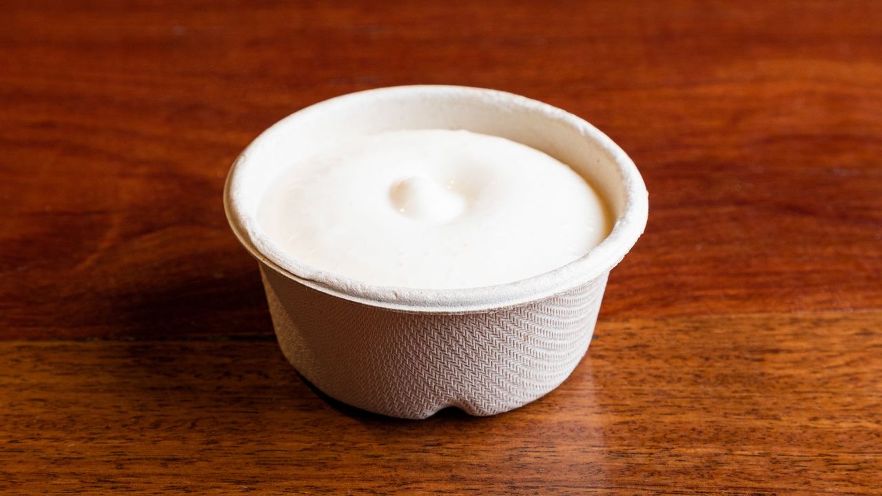 Garlic Aioli Dipping Sauce