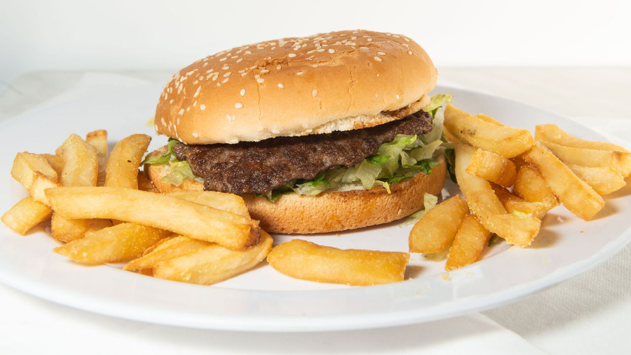 Hamburger Plain