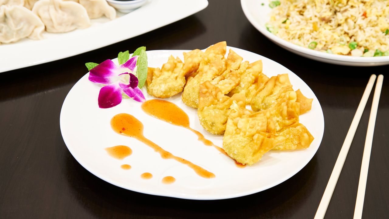 Fried WonTons (8)