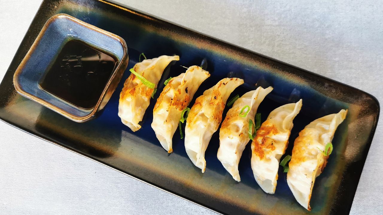 Gyoza T207