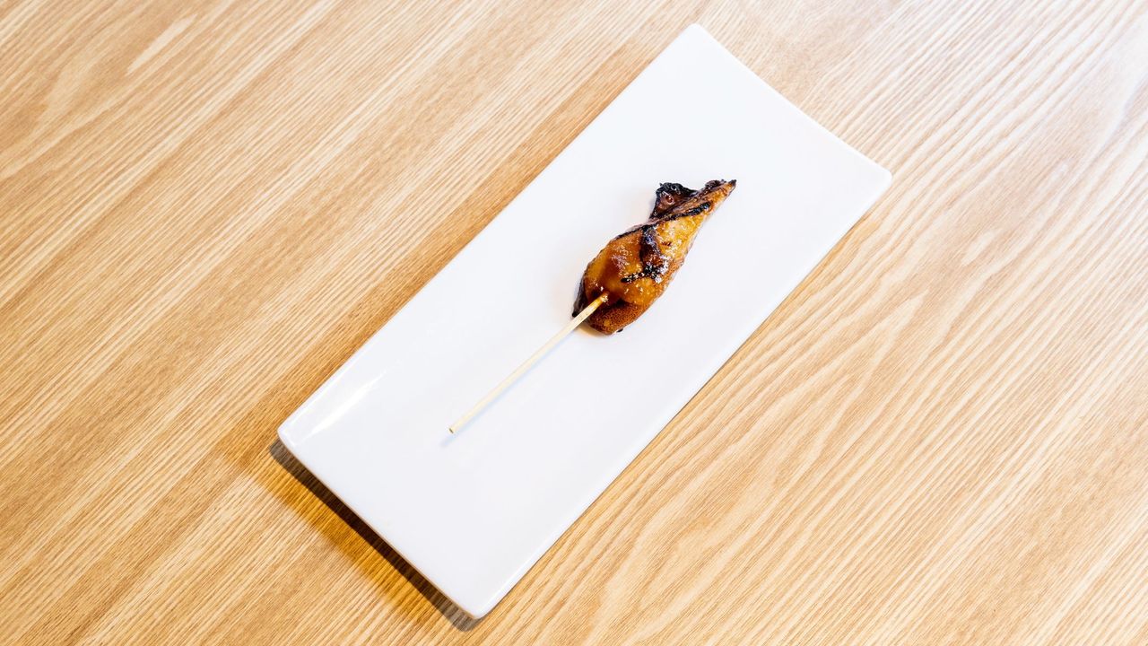 Squid