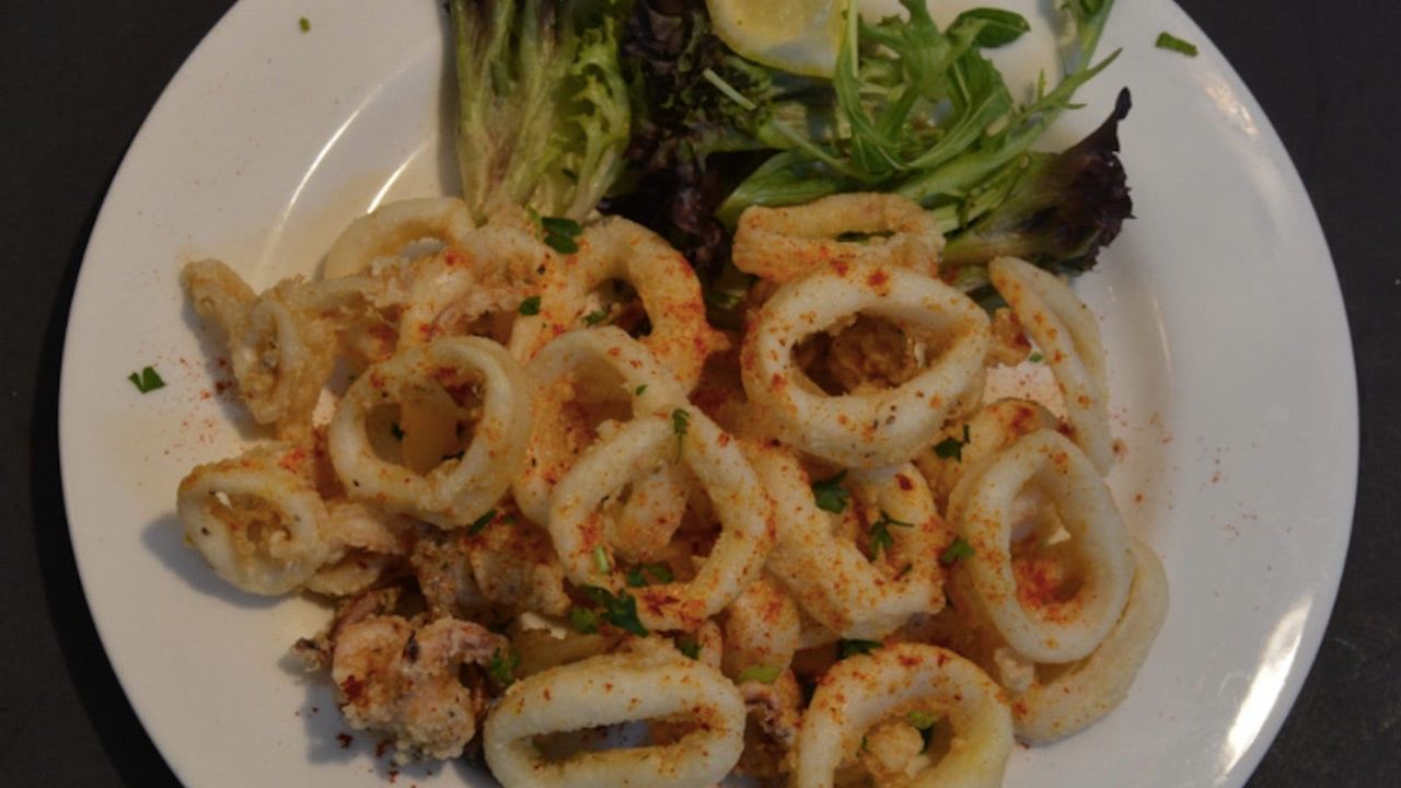 Fried Calamari