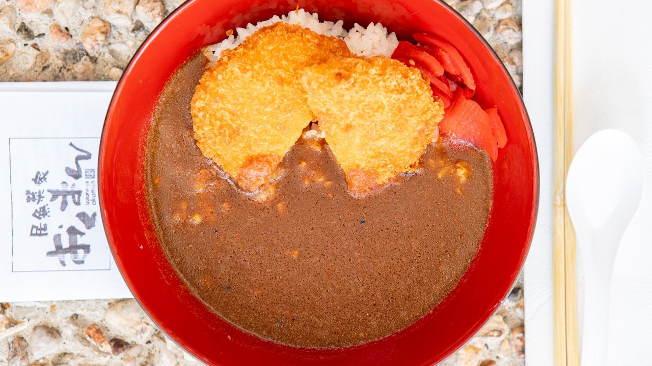 Vegetable Croquette Curry (VG)