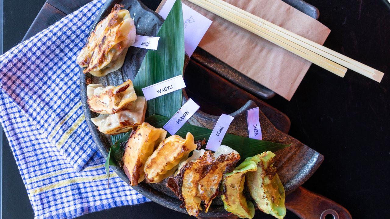 Assorted Gyoza Platter (10)