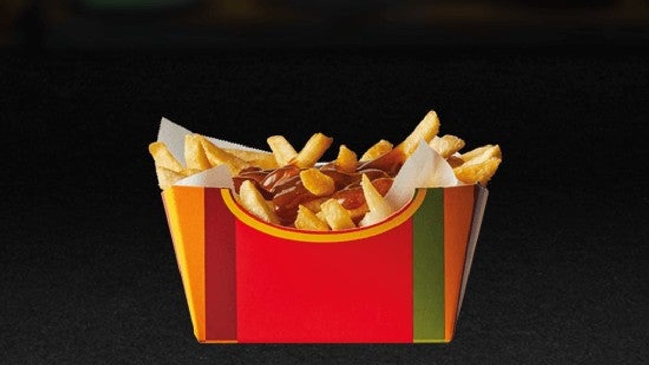 Single Gravy Loaded Fries