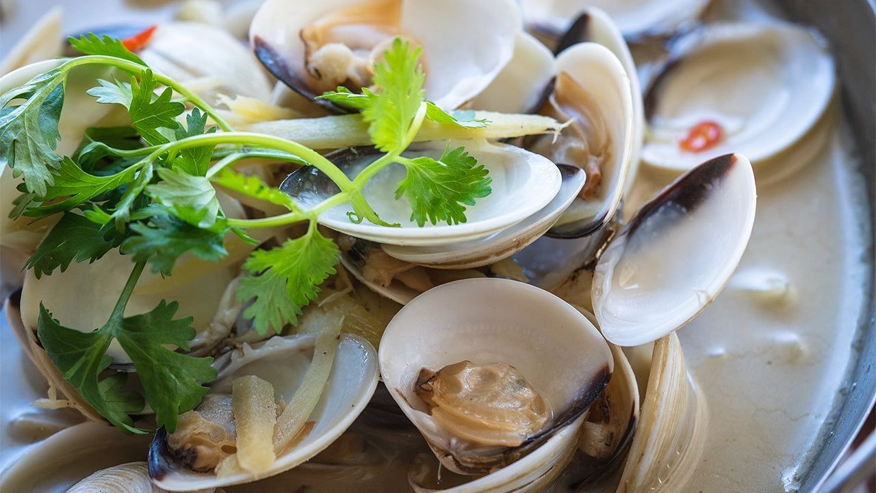 White Clam in Hot Pot with Supreme Soup