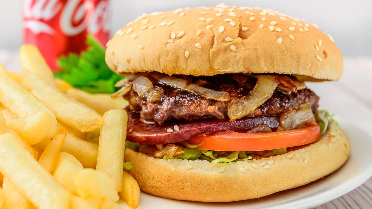 Plain Hamburger