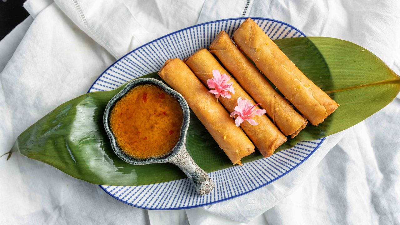 Spring Rolls (4)