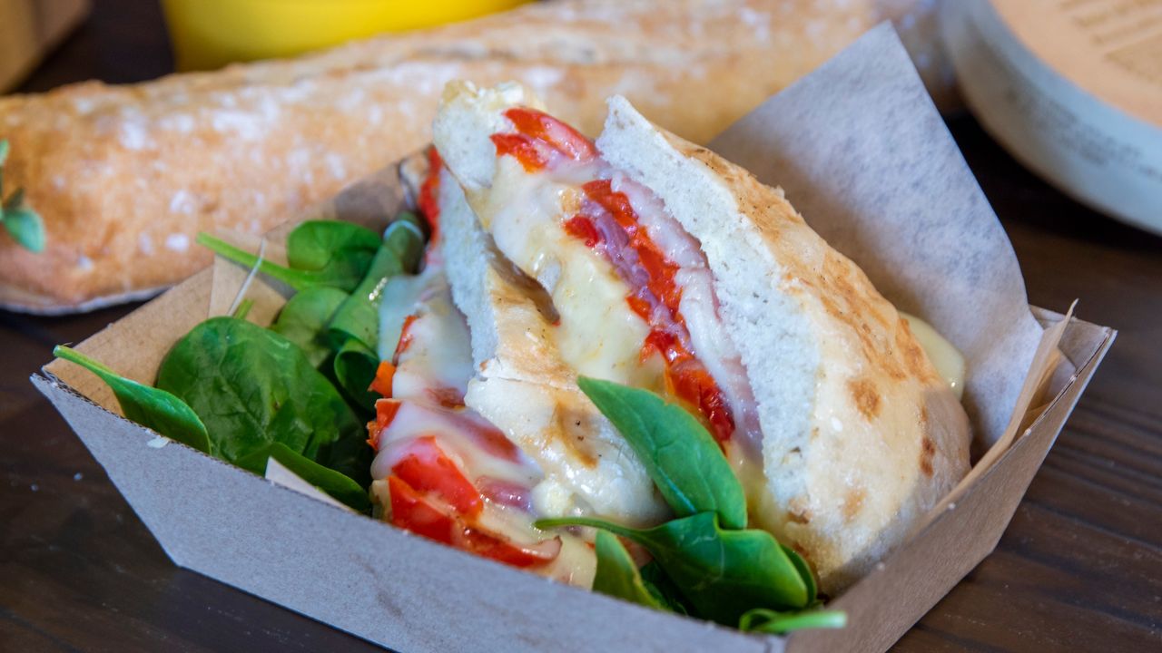 Toasted Turkish/Panini