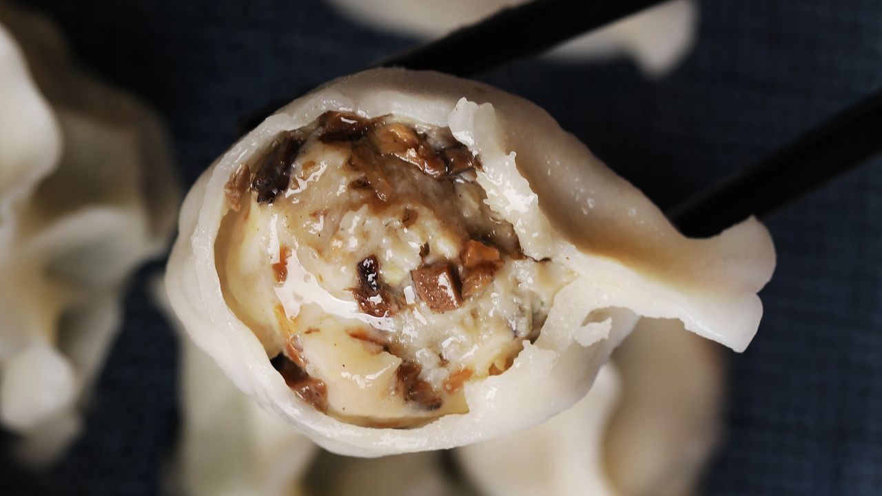 Chicken and Mushroom Dumplings