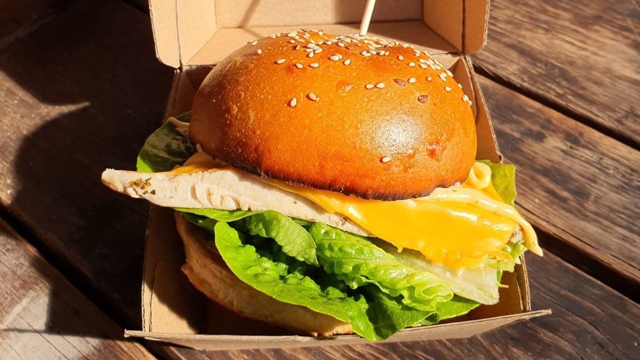 Chicken Burger(special)