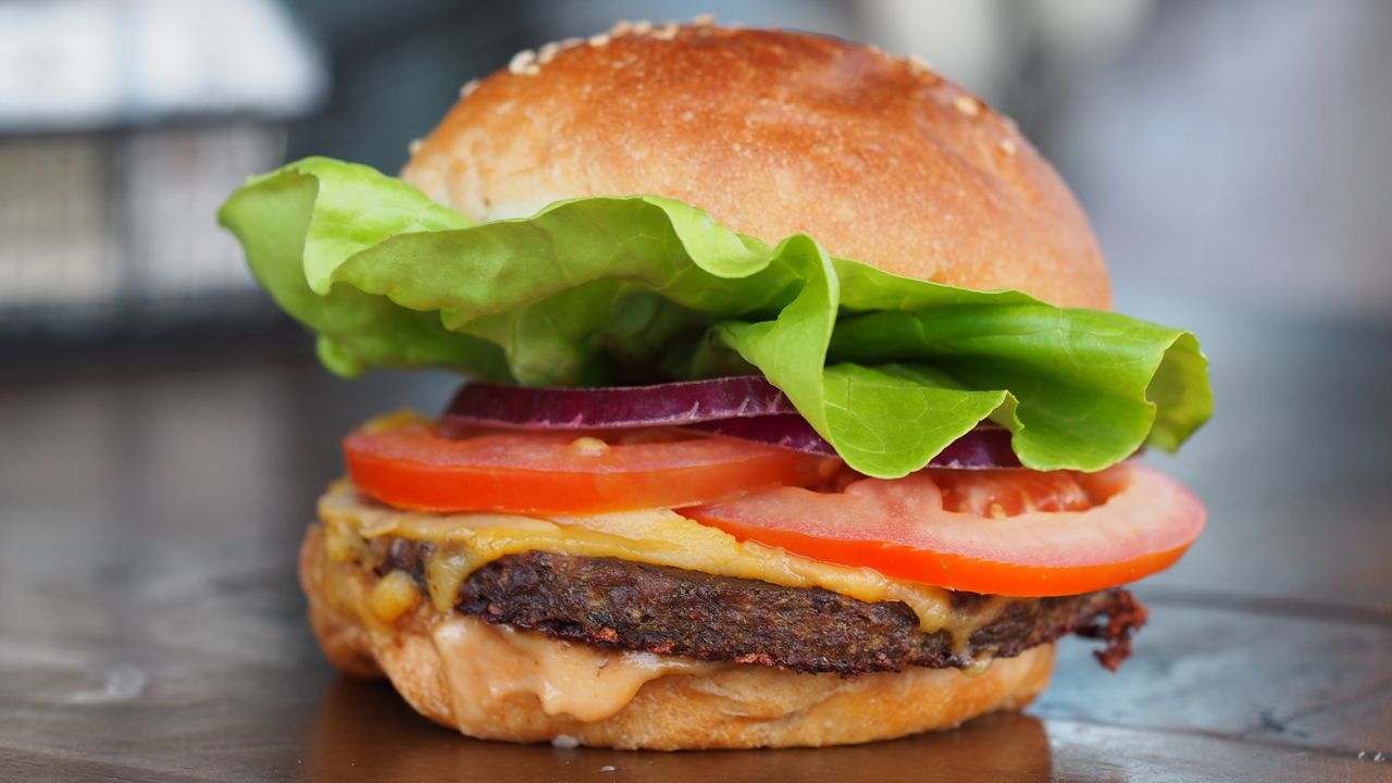Fritzenvegan Burger