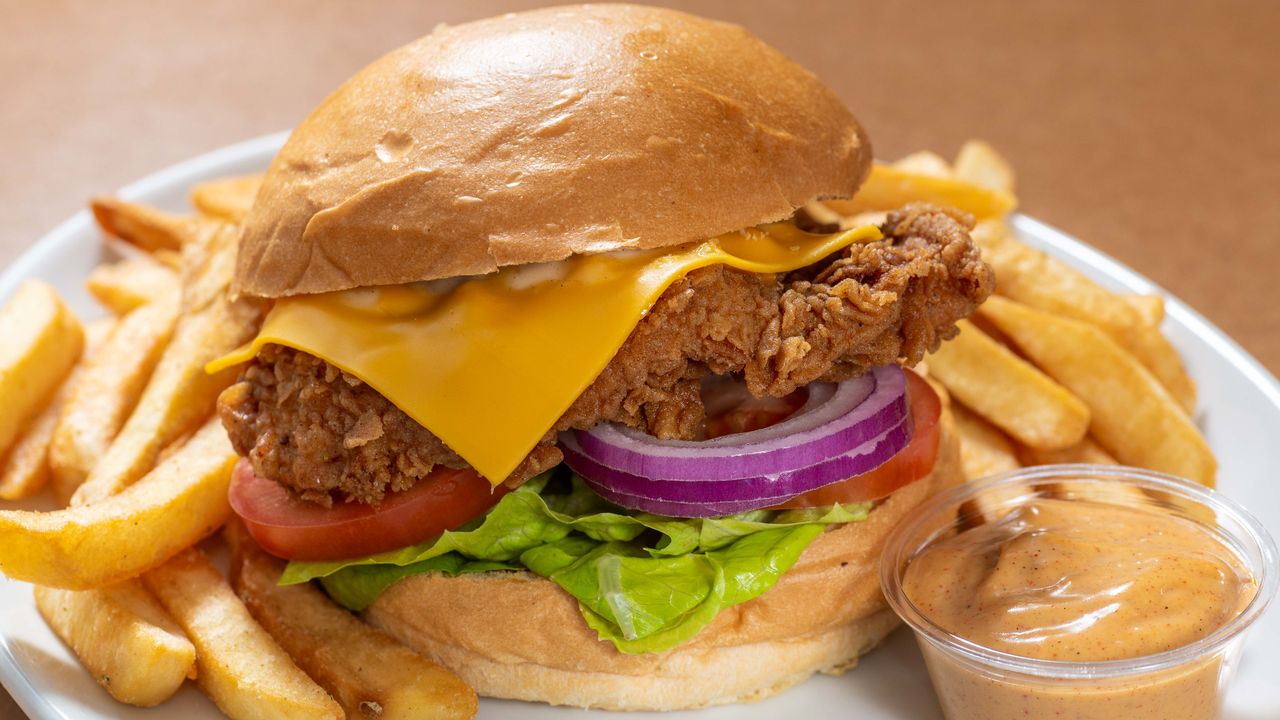 Southern Fried Chicken Burger