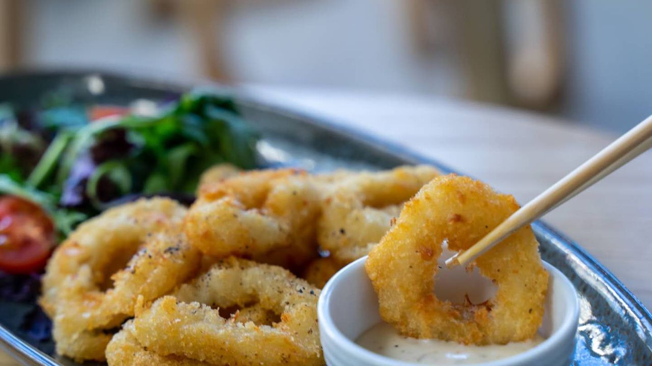 Fried Calamari