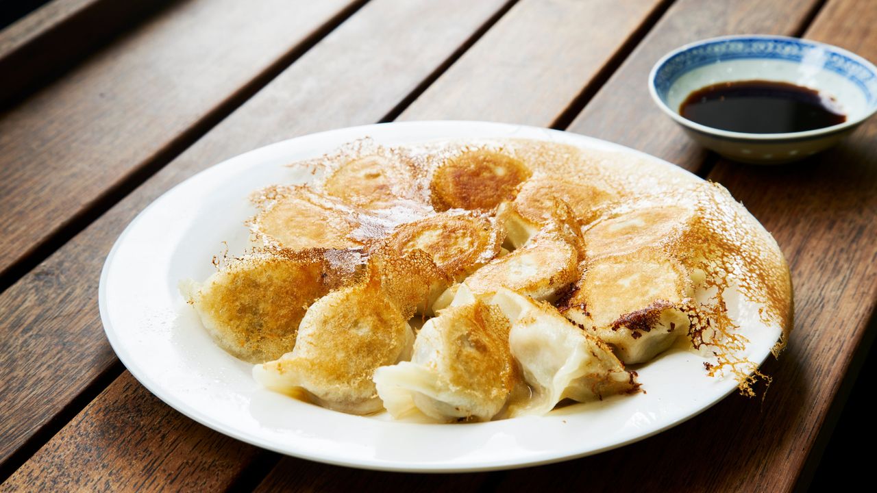 Pan Fried Handmade Dumplings