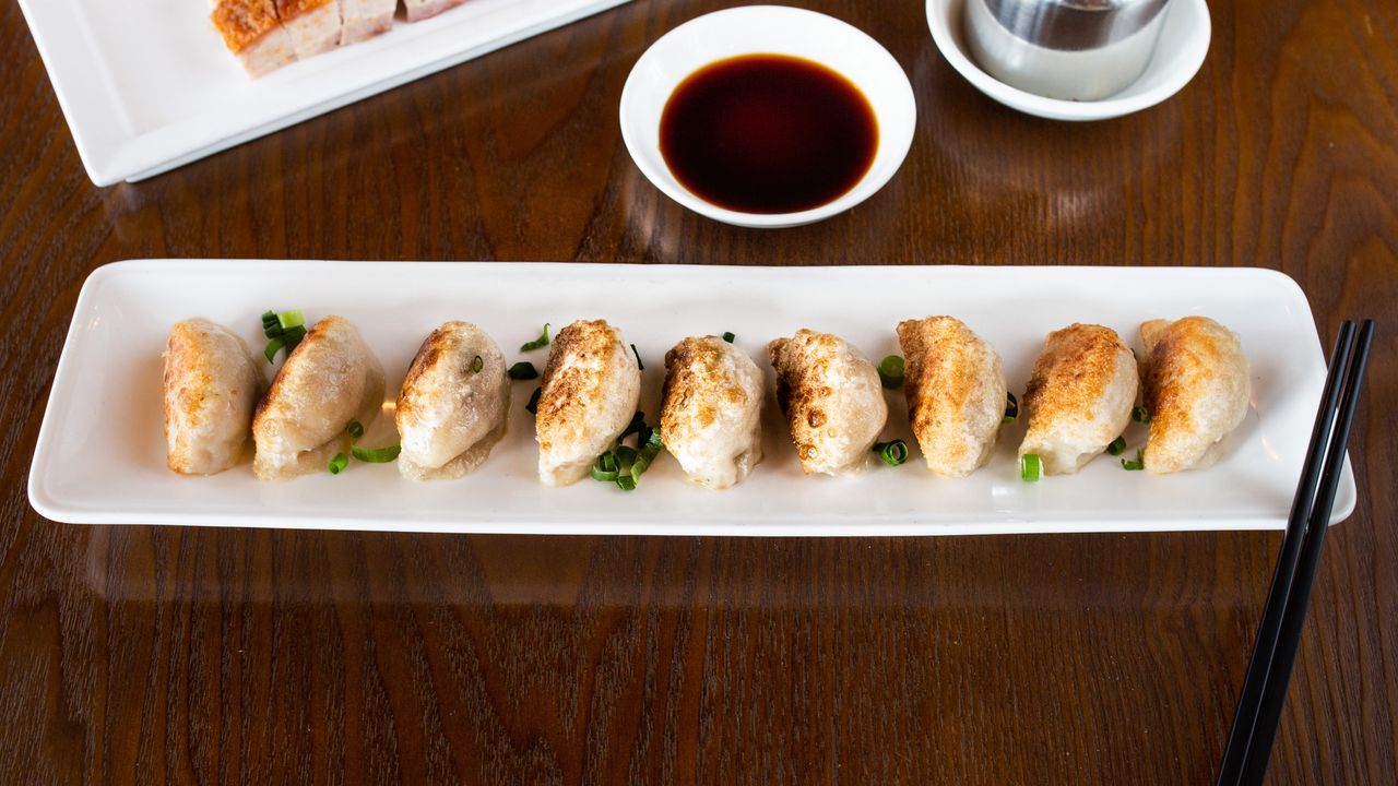 Pan Fried Pork Dumpling (10pcs)