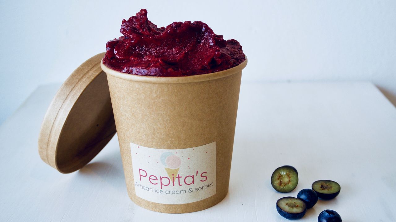 Blueberry Sorbet