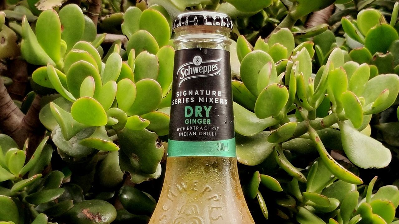 Schweppes Ginger Ale (300ml)