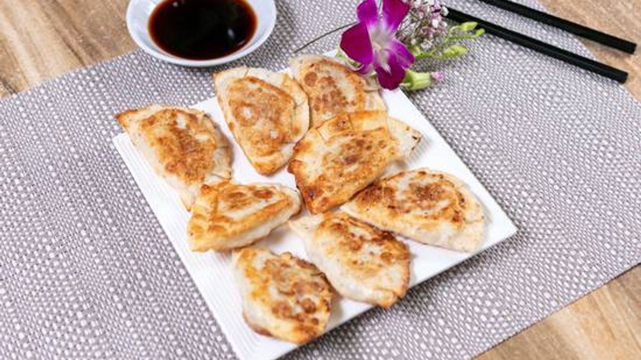 Chicken Pan Fried Dumplings
