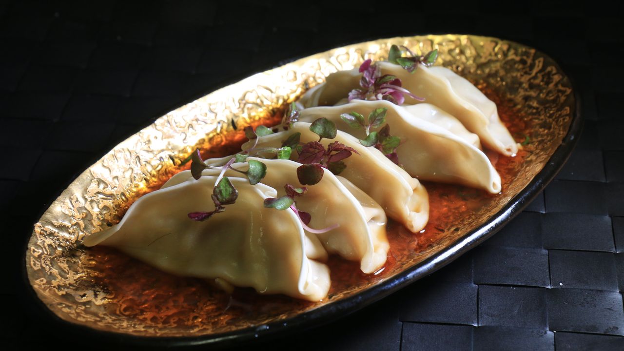 Pan Fried Dumplings (5 Pieces)