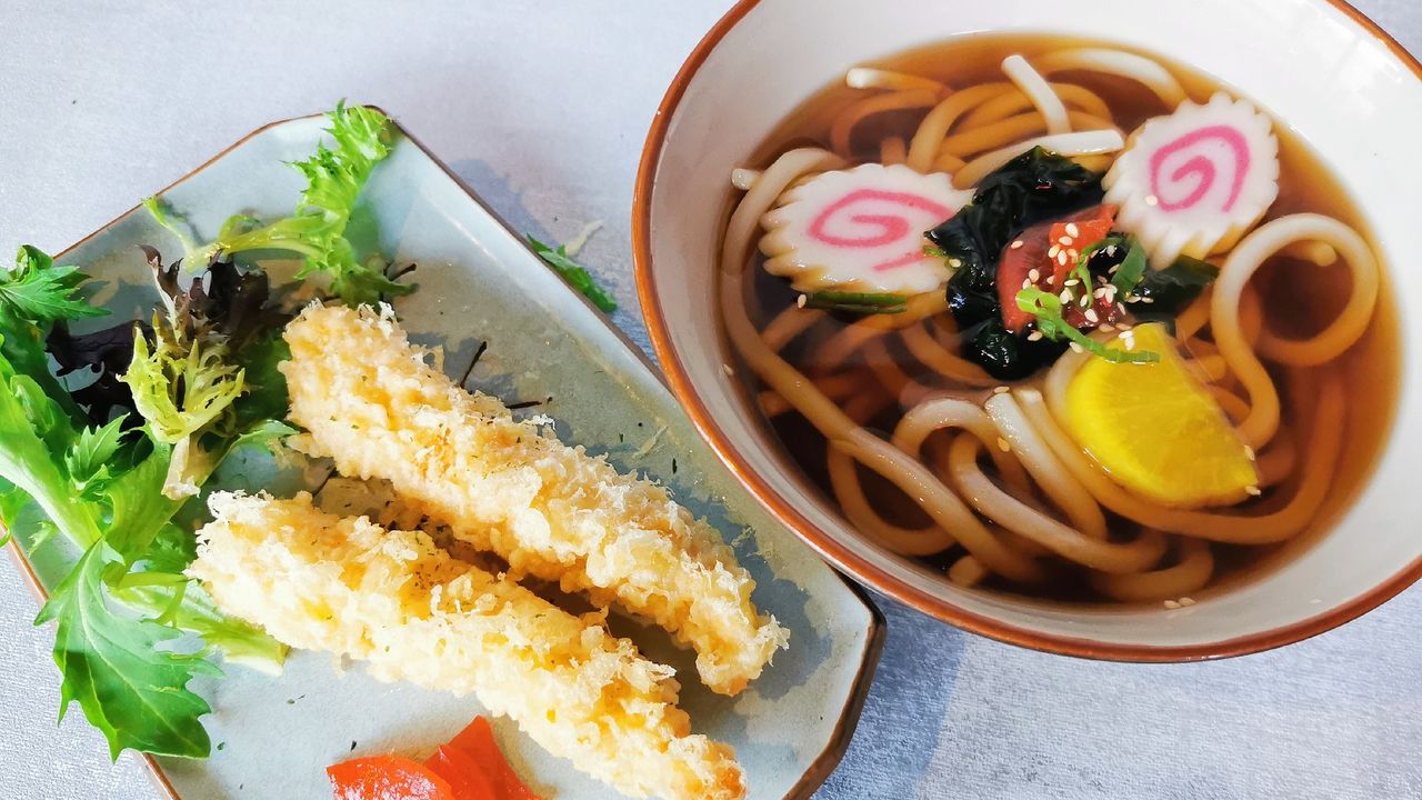 Udon Noodle Soup M609