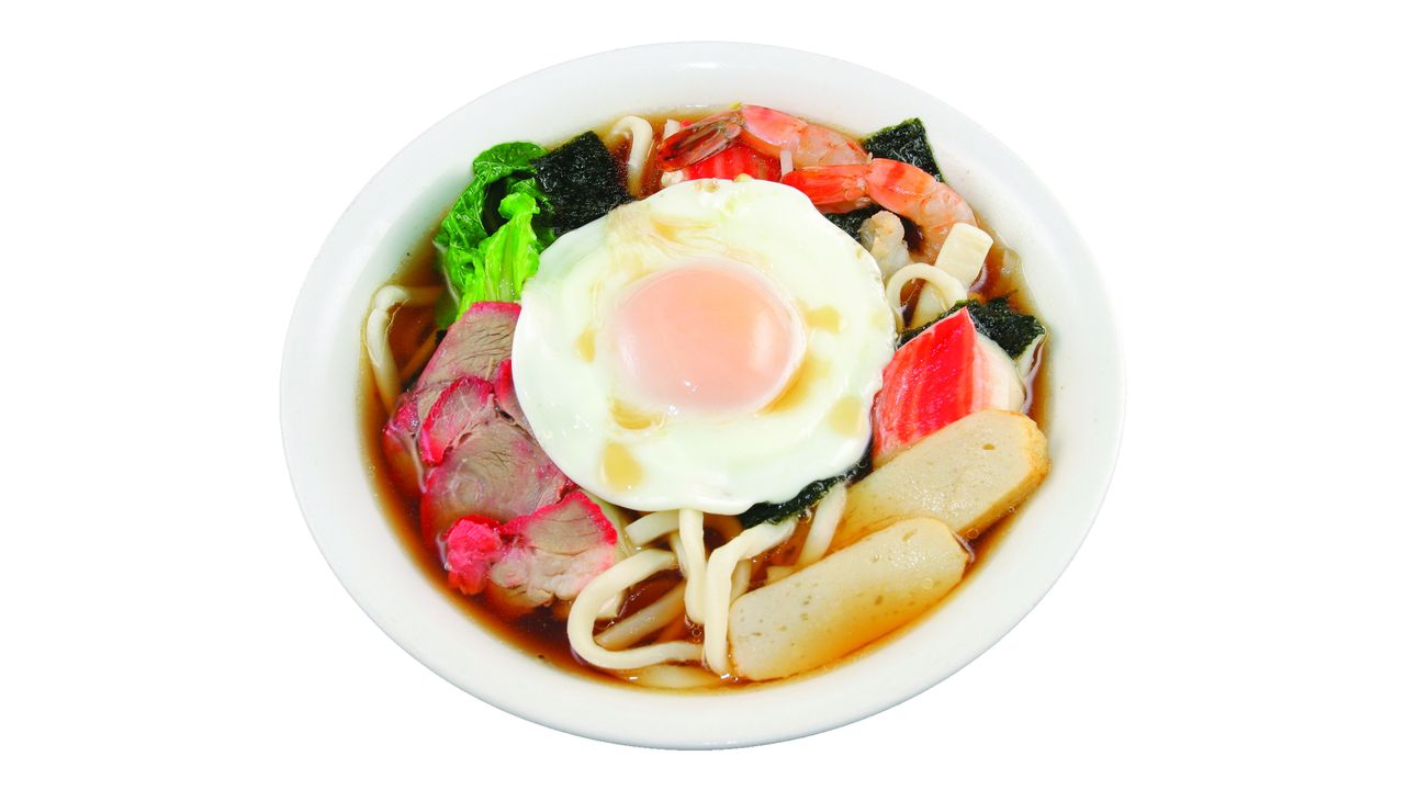 Japanese Udon Noodle Soup