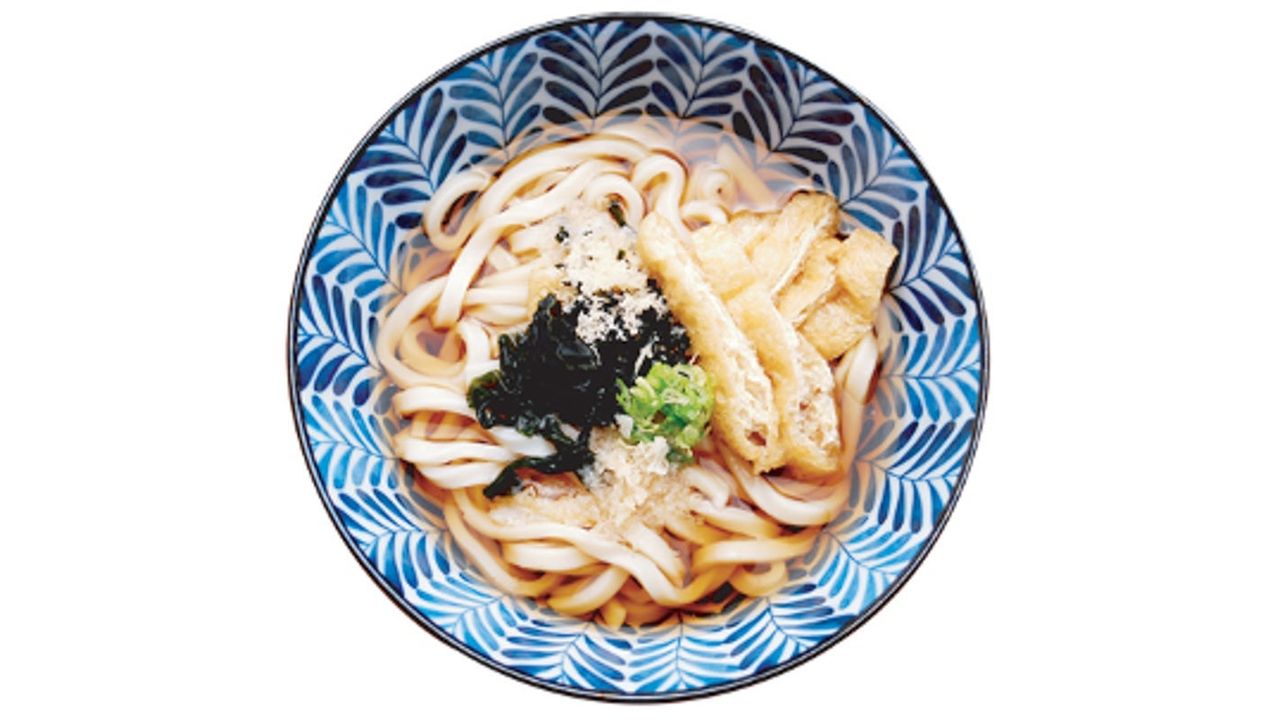 Plain Udon