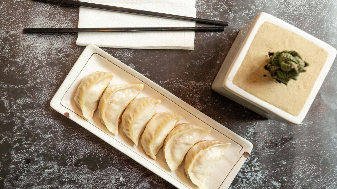 Pan Fried Dumpling (6)