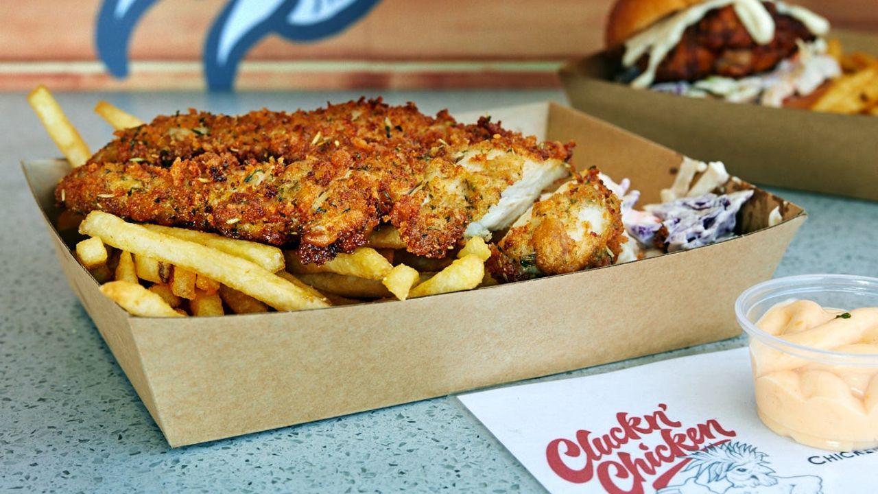Chicken Schnitzel Meal