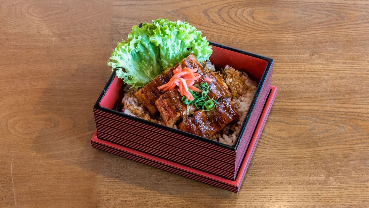 Unagi (Eel) Don