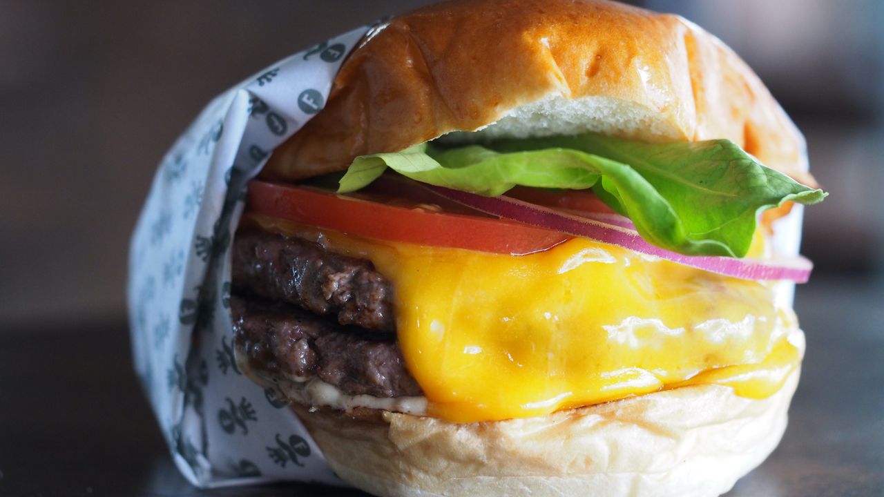 Fritzen X Burger