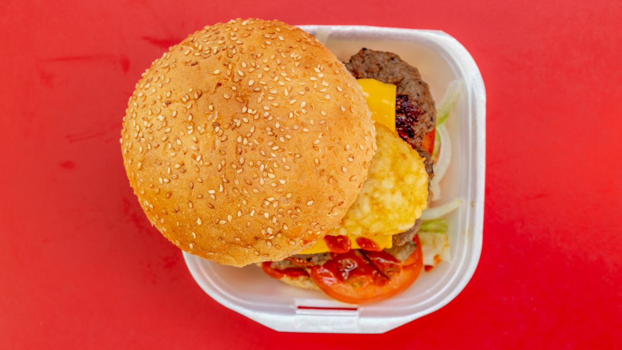 Special Burger